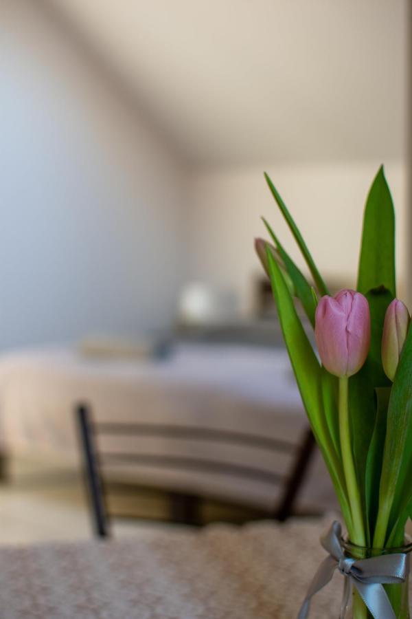 Villa Sol Grzybowo  Exteriér fotografie